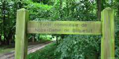 Notre Dame de Bliquetuit (Panneau)