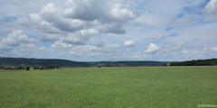 Vatteville la Rue (Prairie)