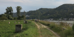 Jumièges (Chemin de Halage)