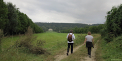 Yville sur Seine (Chemin)