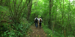 Barneville sur Seine (Chemin)
