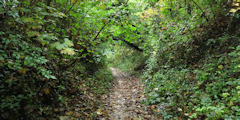 Belbeuf (Chemin 1)