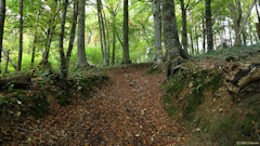 Ricarville du Val (Chemin 2)