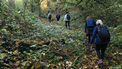 Incheville (Chemin 2)
