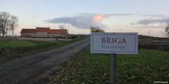 Eu (Briga 1)