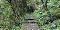 Mesnières en Bray (Sentier)