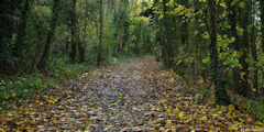 Eu (Chemin 3)