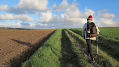 Longueil (Chemin)