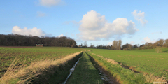 Sainte Marguerite sur Mer (Chemin 1)