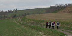 Envermeu (Chemin)