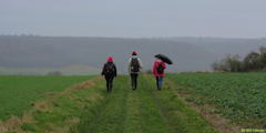 Bellengeville (Chemin 2)
