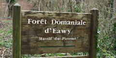Forêt d'Eawy (Panneau)
