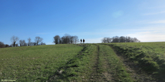 Saint Nicolas d'Aliermont (Chemin 1)