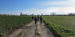 Saint Nicolas d'Aliermont (Chemin 2)