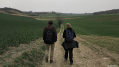 Saint Vaast d'Equiqueville (Chemin)