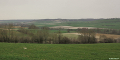Wanchy Capval (Vue)
