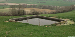 Wanchy Capval (Abreuvoir)