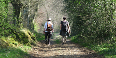 Sainte Agathe d'Aliermont (Chemin)