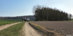 Londinières (Chemin 1)