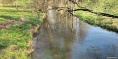 Londinières (Reflet)