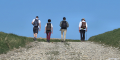 Londinières (Chemin 2)