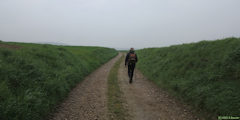 Londinières (Chemin 1)