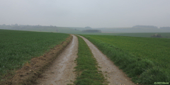 Londinières (Chemin 3)