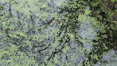 Croixdalle (Reflet)
