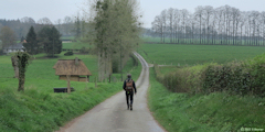 Croixdalle (Route)