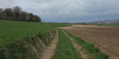 Fréauville (Chemin 1)