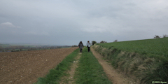 Fréauville (Chemin 2)