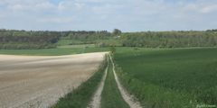 Bailleul Neuville (Chemin 1)