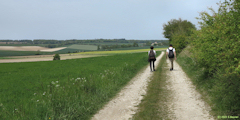 Sainte Beuve en Rivière (Chemin)