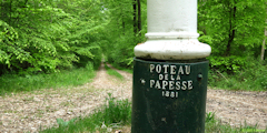 Basse Forêt d'Eu (Poteau 1)