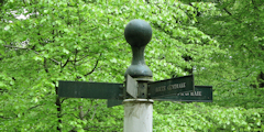 Basse Forêt d'Eu (Poteau 2)