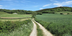 Mortemer (Chemin)