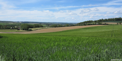 Mortemer (Vallée 1)