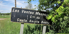 Caule Sainte Beuve (Panneau)