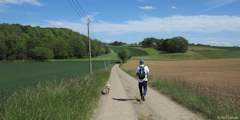 Caule Sainte Beuve (Route)