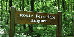 Basse Forêt d'Eu (Panneau)