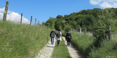Nesle Normandeuse (Chemin 1)