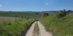Nesle Normandeuse (Chemin 2)