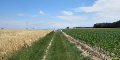 Saint Wandrille Rançon (Chemin)