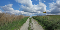 Brachy (Chemin)