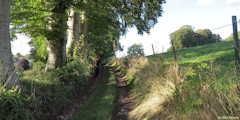 Brachy (Chemin)