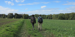 Rainfreville (Chemin)