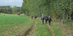 Gonnetot (Chemin)