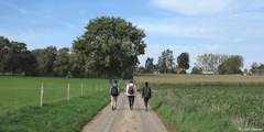Saint Pierre Bénouville (Route)
