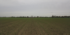 Notre Dame d'Aliermont (Plaine 1)