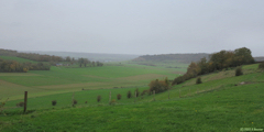 Notre Dame d'Aliermont (Fond 1)